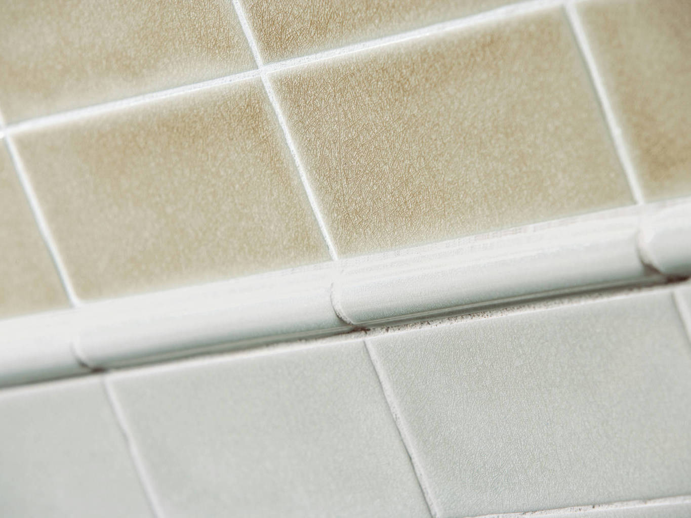 Ocean Sand Dollar 2 | Adex USA