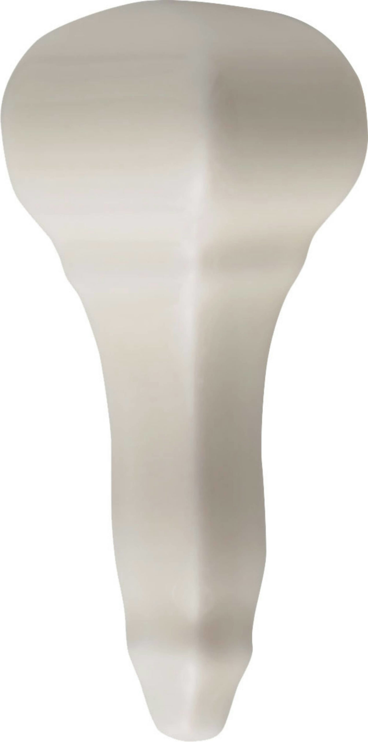 Rail Molding End Cap