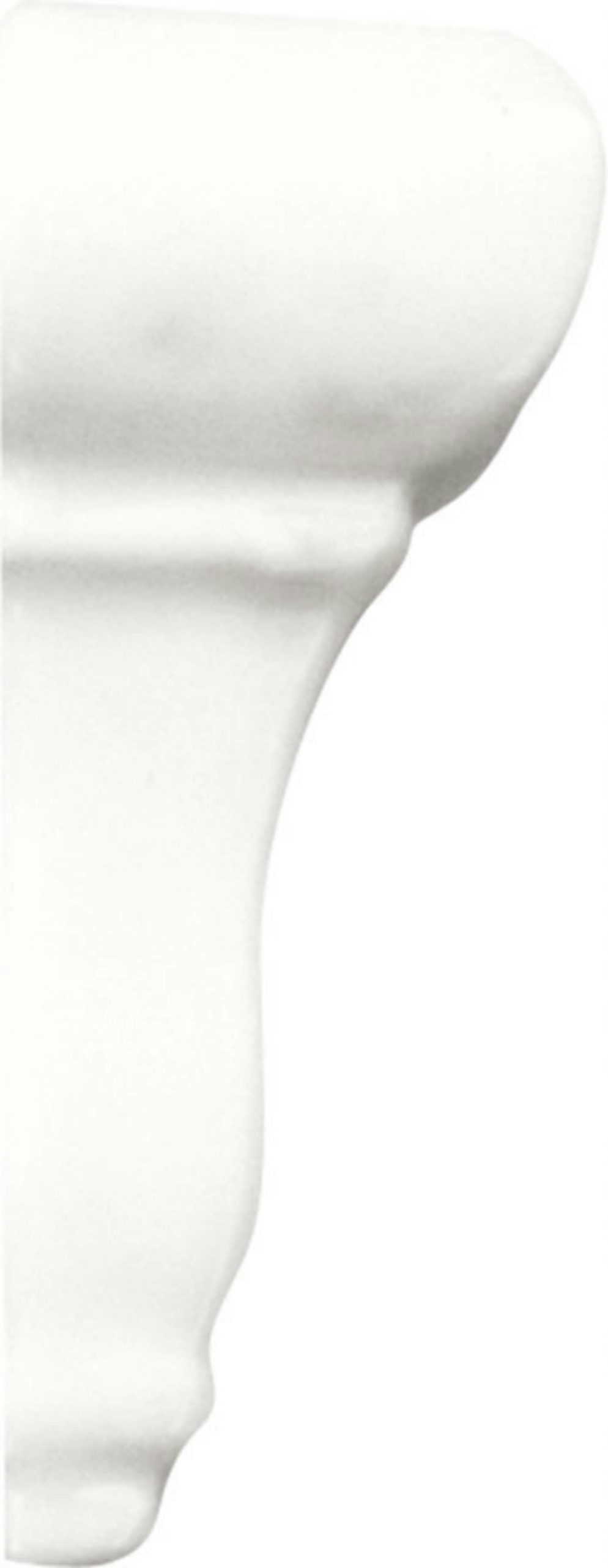 Rail Molding End Cap