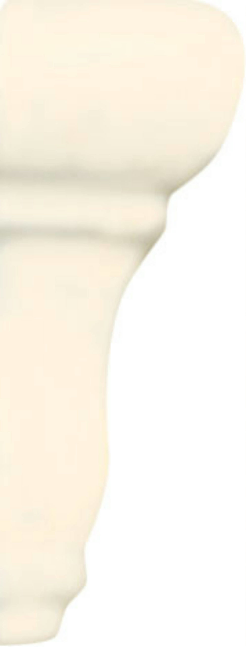 Rail Molding End Cap