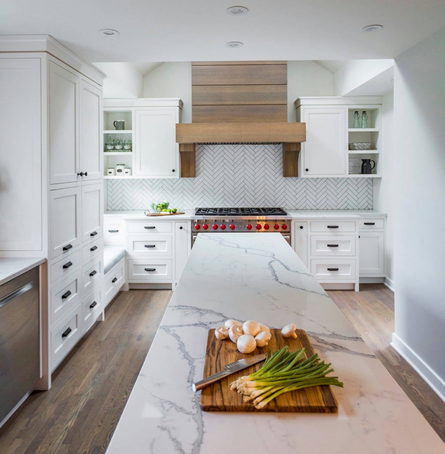 Kitchen Renovation | Adex USA