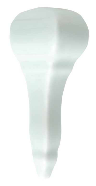 Rail Molding End Cap