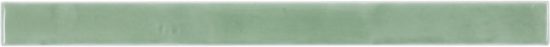 LINER (ONE OVERGLAZED EDGE)